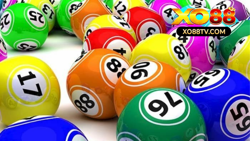 Hướng Dẫn Soi Cầu Quả Trám