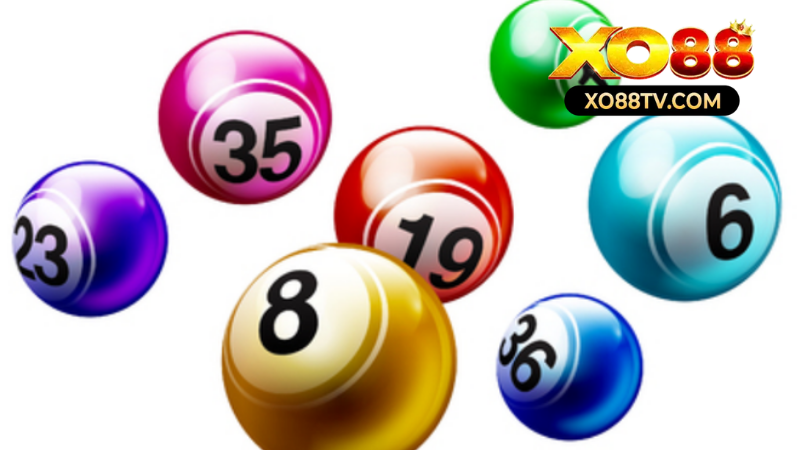 Hướng Dẫn Soi Cầu Quả Trám