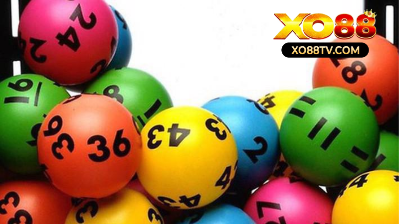 Hướng Dẫn Soi Cầu Quả Trám