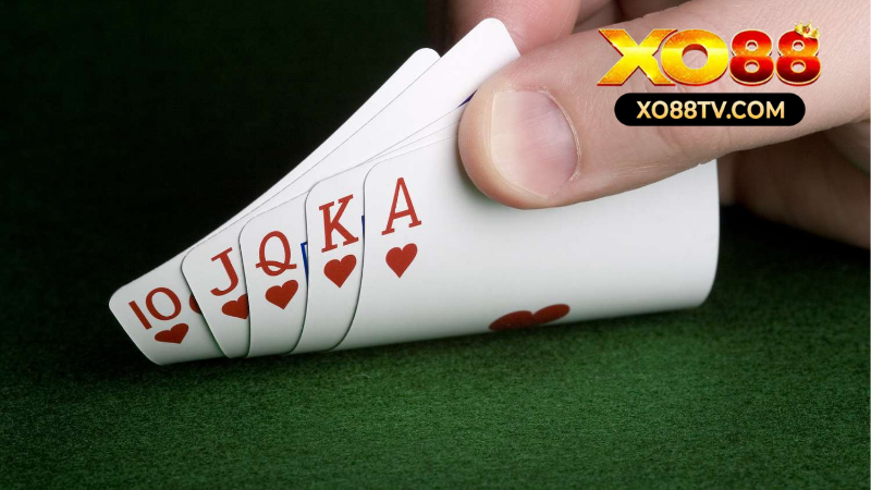 Sảnh Live DG Gaming